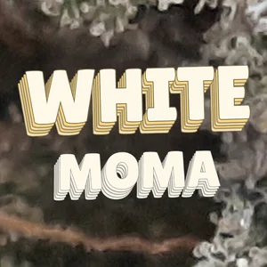 White Moma Cannabis Strain
