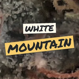 White Mountain Cannabis Strain