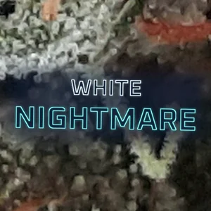 White Nightmare Cannabis Strain