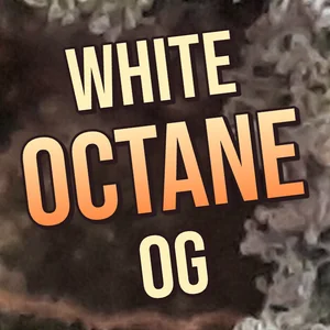 White Octane OG Cannabis Strain
