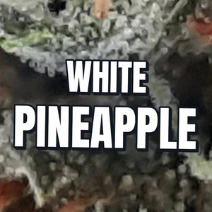 White Pineapple Cannabis Strain