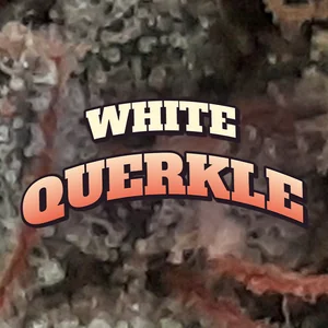 White Querkle Cannabis Strain
