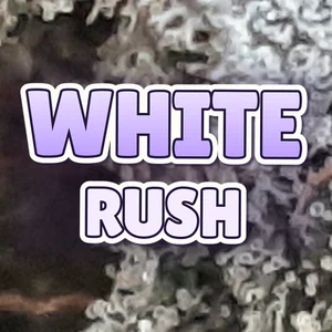 White Rush Cannabis Strain