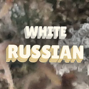 White Russian Cannabis Strain