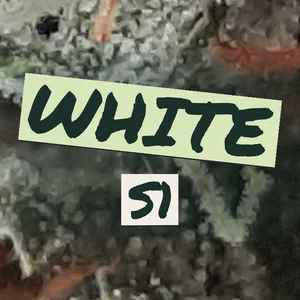 White S1 Cannabis Strain