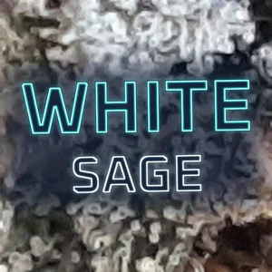 White Sage Cannabis Strain