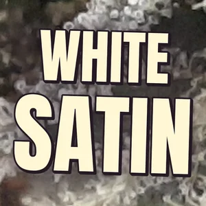 White Satin Cannabis Strain
