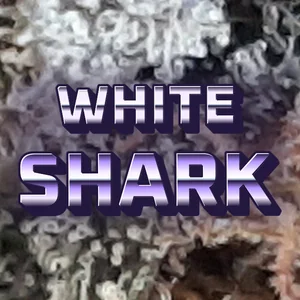 White Shark Cannabis Strain