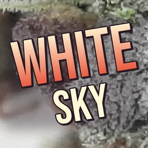 White Sky Cannabis Strain