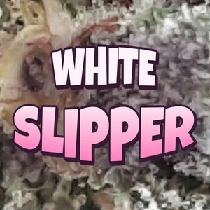 White Slipper Cannabis Strain