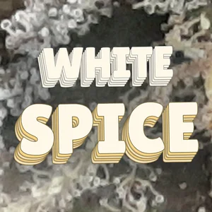 White Spice Cannabis Strain