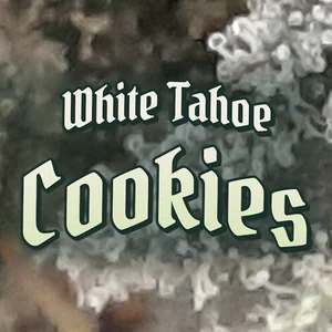 White Tahoe Cookies Cannabis Strain
