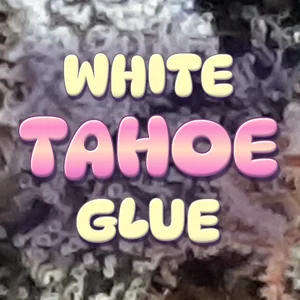 White Tahoe Glue Cannabis Strain