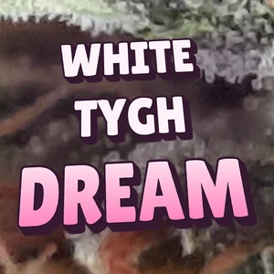 White Tygh Dream Cannabis Strain