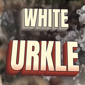 White Urkle Cannabis Strain