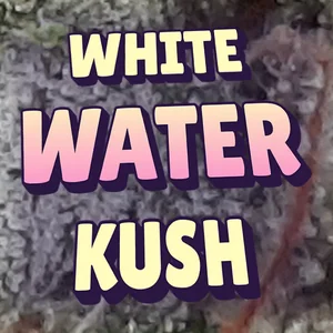 White Water Kush Cannabis Strain