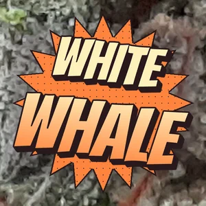 White Whale Cannabis Strain