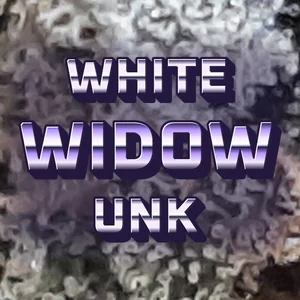 White Widow Unk Cannabis Strain