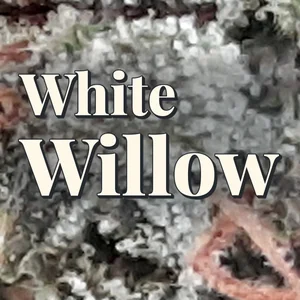 White Willow Cannabis Strain
