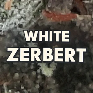 White Zerbert Cannabis Strain