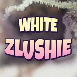 White Zlushie Cannabis Strain