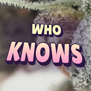 Who Knows Cannabis Strain