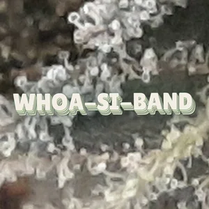 Whoa-Si-Band Cannabis Strain