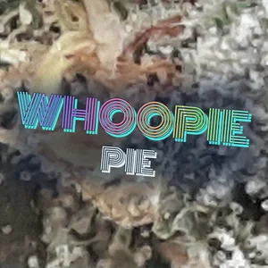Whoopie Pie Cannabis Strain