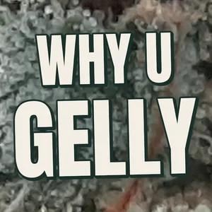 Why U Gelly Cannabis Strain