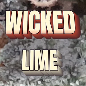 Wicked Lime Cannabis Strain