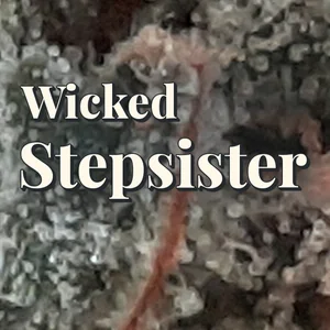 Wicked Stepsister Cannabis Strain