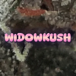 Widowkush Cannabis Strain