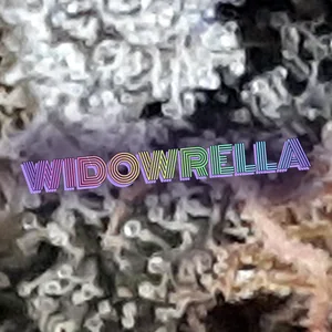 Widowrella Cannabis Strain