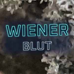 Wiener Blut Cannabis Strain