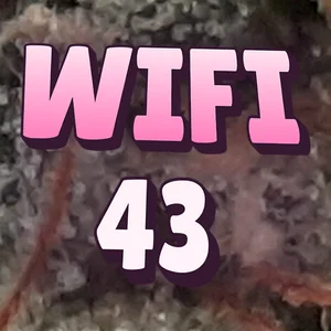 Wifi 43 Cannabis Strain