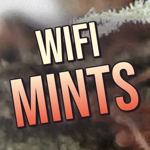 WiFi Mints Cannabis Strain