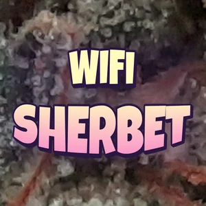 WiFi Sherbet Cannabis Strain