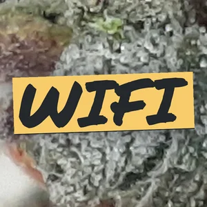 Wifi Cannabis Strain
