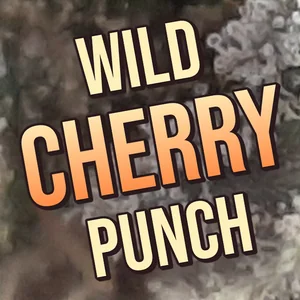 Wild Cherry Punch Cannabis Strain