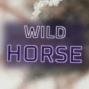 Wild Horse Cannabis Strain