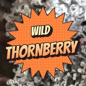 Wild Thornberry Cannabis Strain
