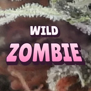 Wild Zombie Cannabis Strain