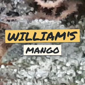 William's Mango Cannabis Strain