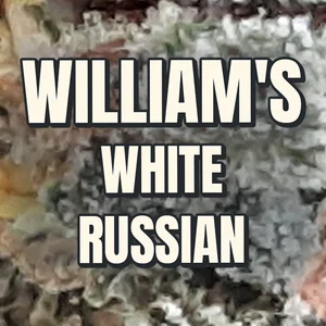 William's White Russian Cannabis Strain