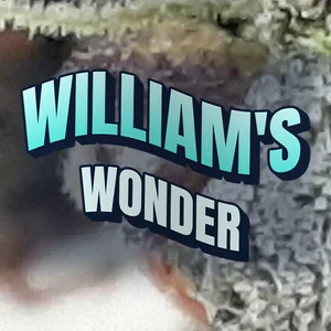 William's Wonder Cannabis Strain