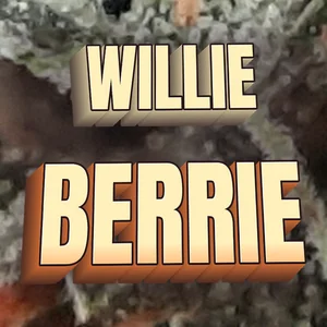 Willie Berrie Cannabis Strain