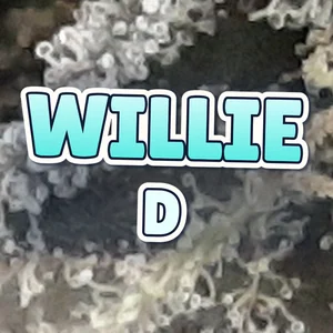 Willie D Cannabis Strain