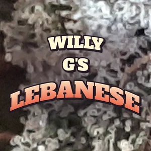 Willy G's Lebanese Cannabis Strain