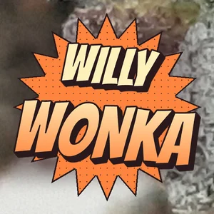 Willy Wonka Cannabis Strain