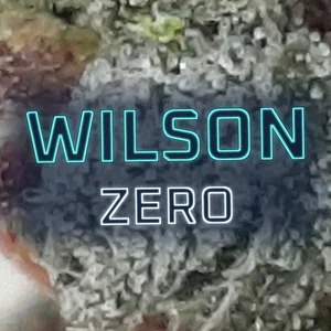 Wilson Zero Cannabis Strain